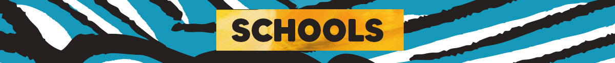Schools